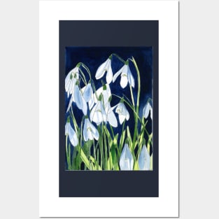 Watercolour painting of snowdrops with a dark background Posters and Art